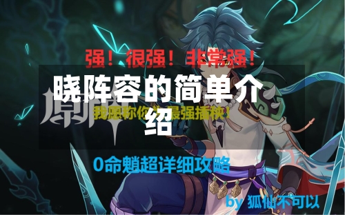 晓阵容的简单介绍-第2张图片