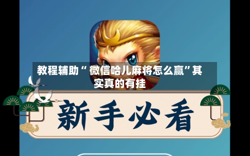 教程辅助“ 微信哈儿麻将怎么赢”其实真的有挂-第2张图片