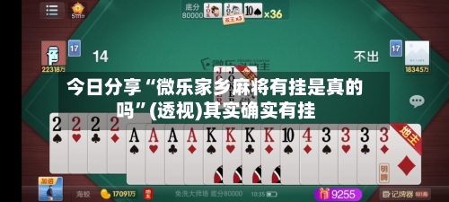 今日分享“微乐家乡麻将有挂是真的吗”(透视)其实确实有挂-第3张图片