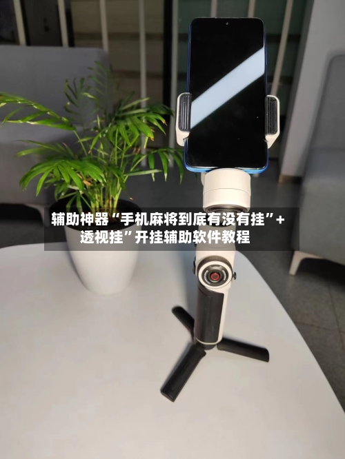 辅助神器“手机麻将到底有没有挂”+透视挂	”开挂辅助软件教程-第3张图片