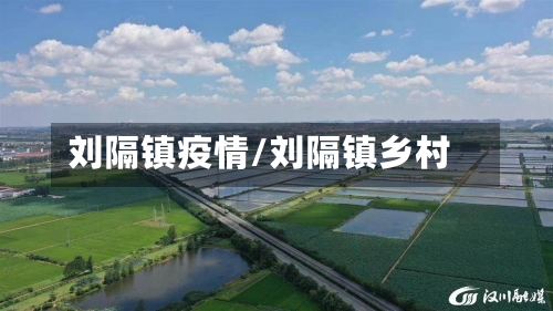 刘隔镇疫情/刘隔镇乡村-第3张图片