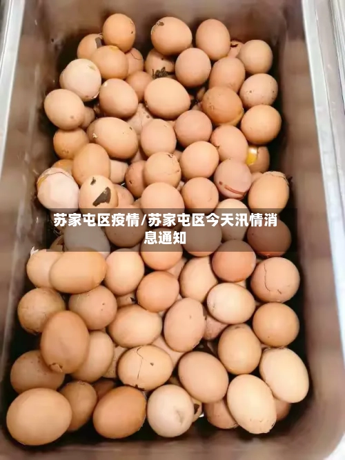 苏家屯区疫情/苏家屯区今天汛情消息通知-第2张图片