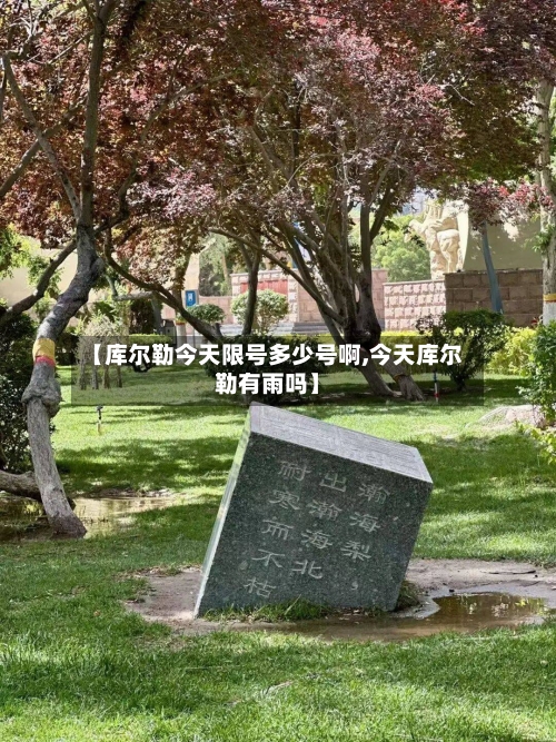 【库尔勒今天限号多少号啊,今天库尔勒有雨吗】-第3张图片