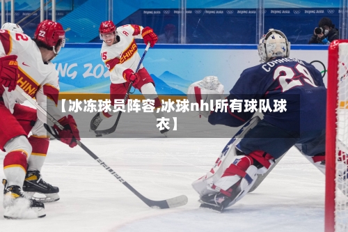 【冰冻球员阵容,冰球nhl所有球队球衣】