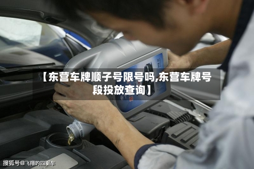 【东营车牌顺子号限号吗,东营车牌号段投放查询】