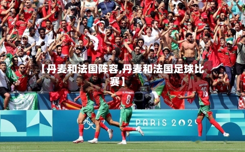 【丹麦和法国阵容,丹麦和法国足球比赛】-第3张图片